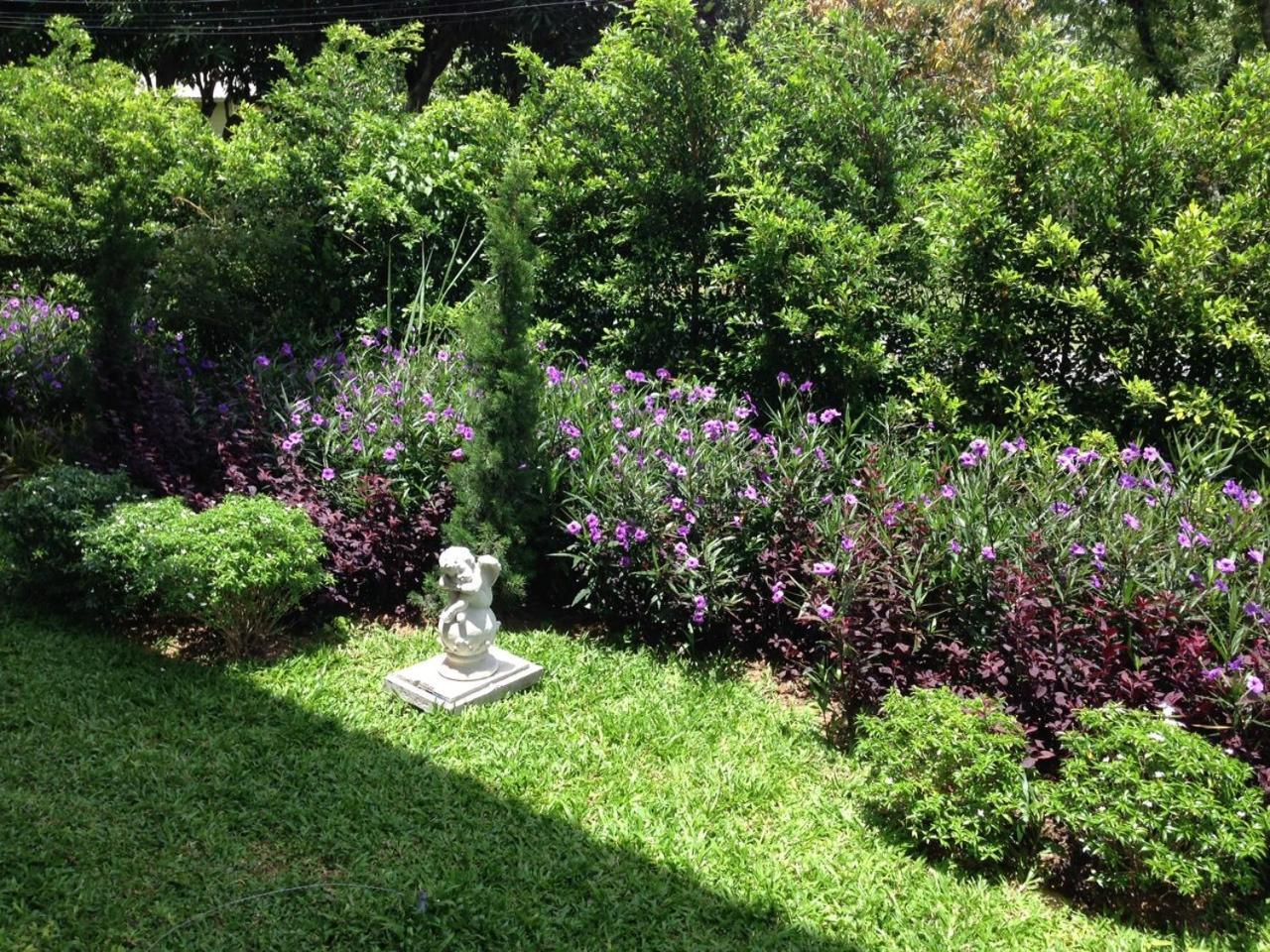 Jardin De Mangue Pakchong Hotel Cameră foto