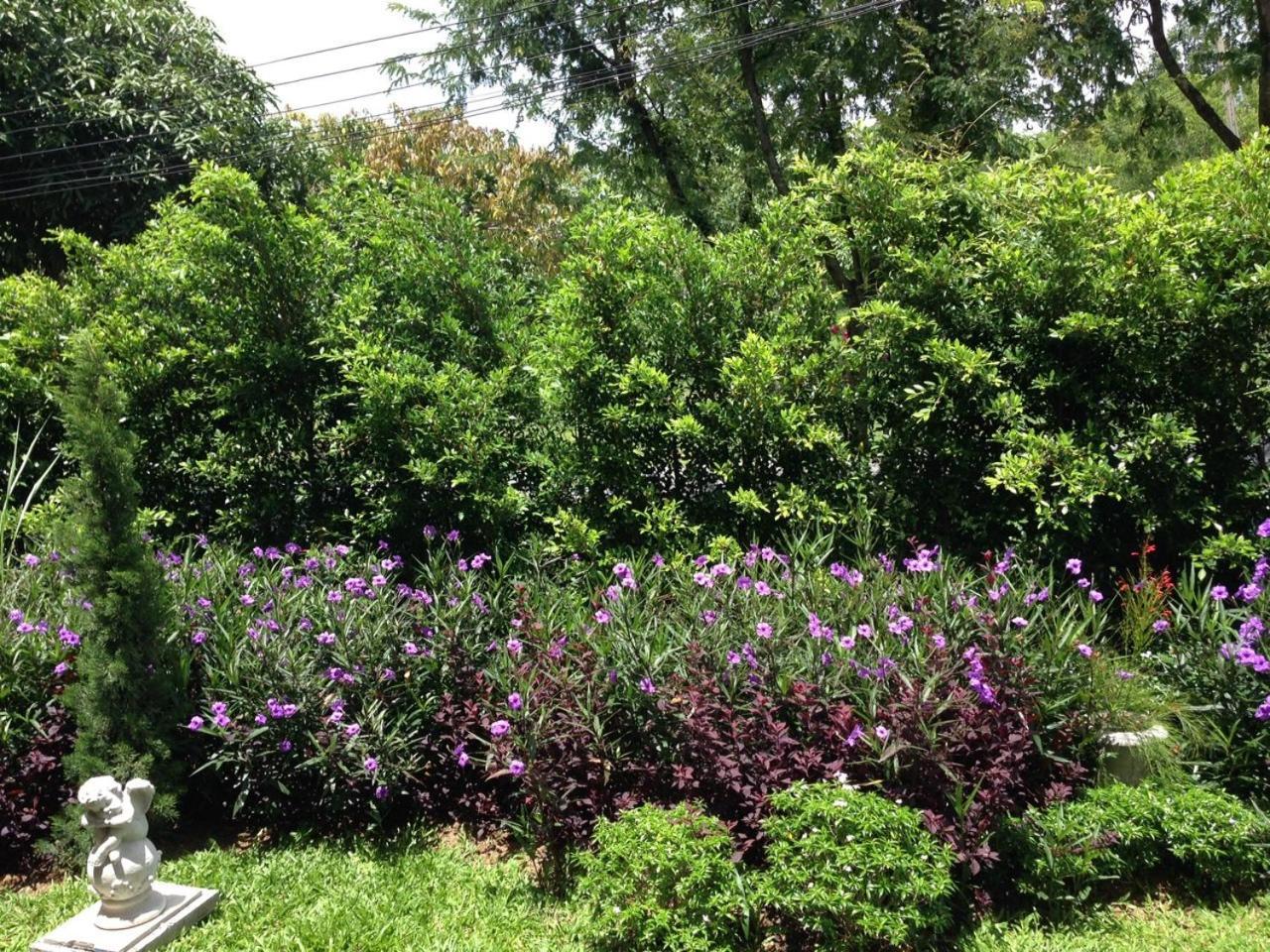 Jardin De Mangue Pakchong Hotel Cameră foto