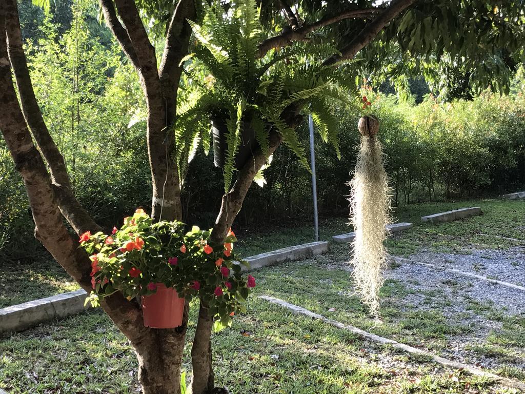 Jardin De Mangue Pakchong Hotel Exterior foto